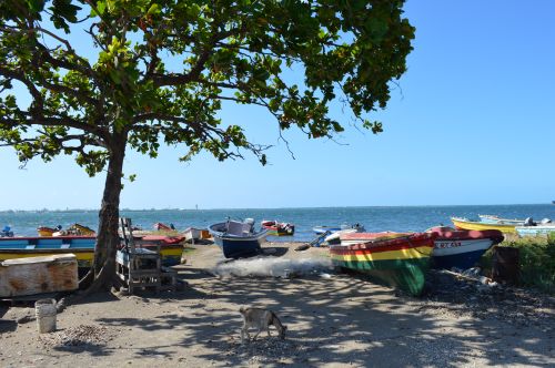 It's a Rae Town Thing