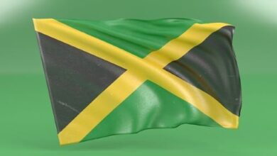 Jamaican Nationals in South Florida receive “Community Service Awards”