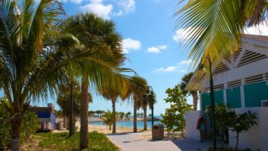 Ocean Cay Bahamas: North Long Island