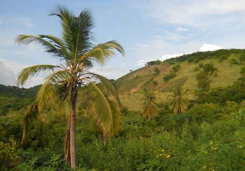 Empowering Small Farmers in Haiti for Sustainable Development