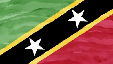 OAS Mission and Electoral Observation in Saint Kitts and Nevis