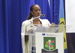 Pamela Coke Hamilton at EU Energy Conference - Building an Energy Efficient Private Sector In The Caribbean