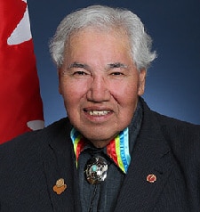 UWI Toronto Benefit Gala Honoree Senator Murray Sinclair