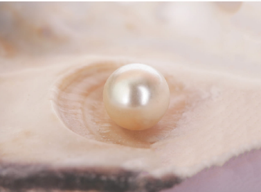Superfood of the Oceans: Pearl Powder Benefits and Uses