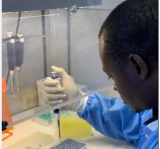 PAHO prepares 8 Caribbean laboratories to diagnose new coronavirus