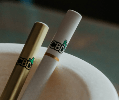 5 Reasons Why Vaping Is The Best Way To Take CBD