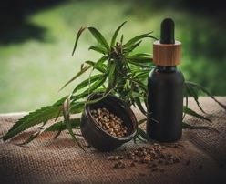 Different Types of CBD Products Available in the Market