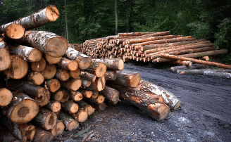 How To Choose The Right Chainsaw Mill And What To Look For