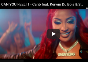 CAN YOU FEEL IT - Carib Beer feat. Kerwin Du Bois & Shenseea