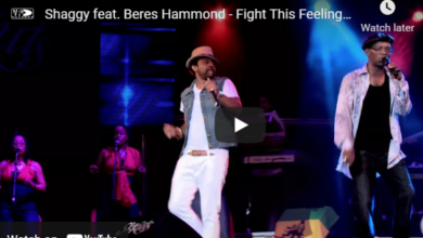 Shaggy feat. Beres Hammond - Fight This Feeling