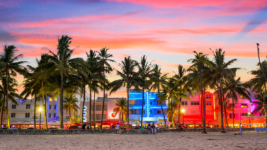 Hot Spots to Visit in Miami