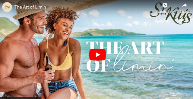 St. Kitts Wins Large on the Viddy Awards Showcasing Excellence In Video Advertising and marketing