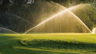 Importance Of Moisture Management In Turf