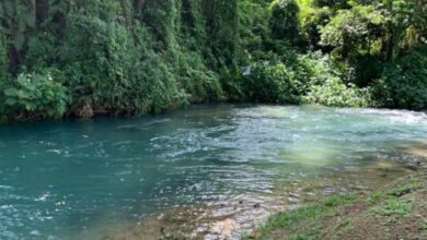 Blue Hole Ocho Rios