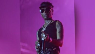 Wizkid and Bleu Magic: at the World Creole Music Festival