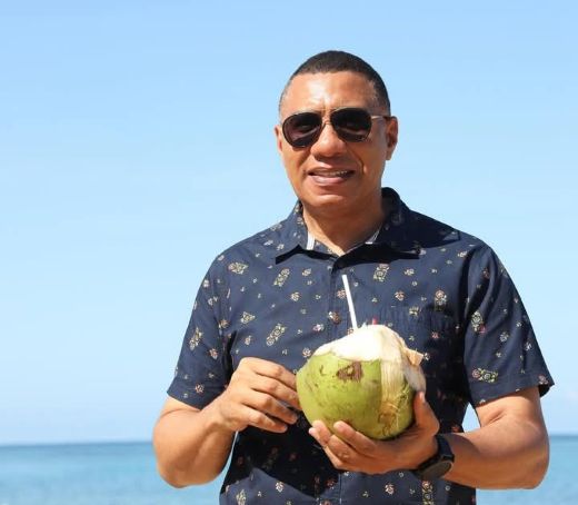 New Year Fireworks and Drone Show in Jamaica with PM Holness