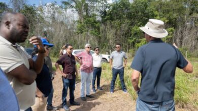 The Dairy Farm: A State-of-the-art Project in Guyana