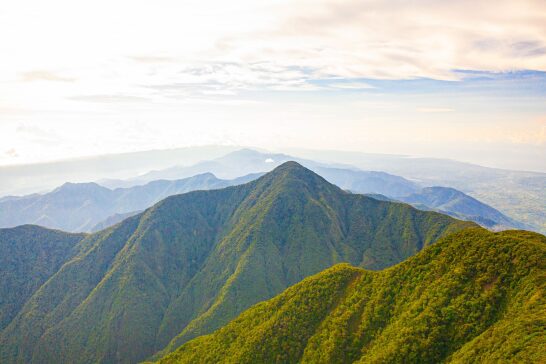 Kingston, Jamaica - Blue Mountain