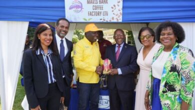 Jamaica Blue Mountain Coffee Festival 2025