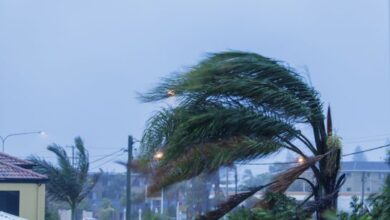 Understand the importance of financial readiness during hurricane season. Secure your documents and plan ahead for safety.