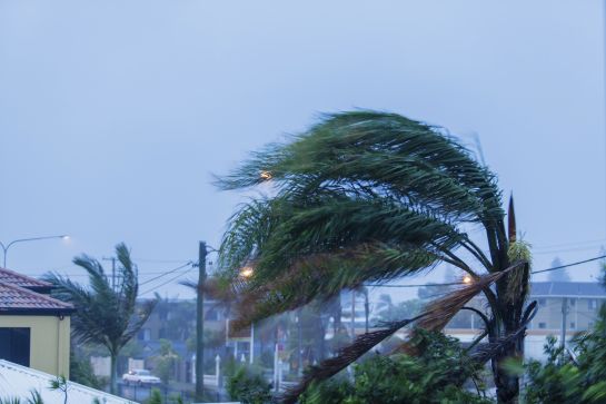 Understand the importance of financial readiness during hurricane season. Secure your documents and plan ahead for safety.