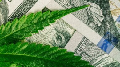 the cannabis industry