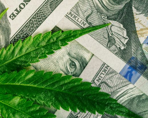 the cannabis industry