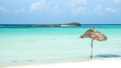 Bonefishing Tournament The Bahamas