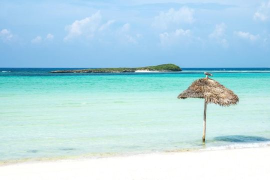 Bonefishing Tournament The Bahamas