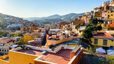 Roof Care Tips