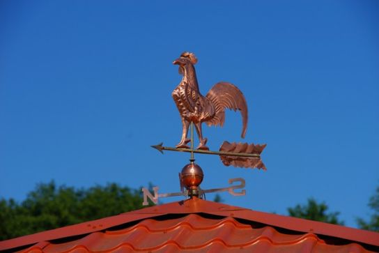 roof care