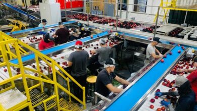 contract manufacturing