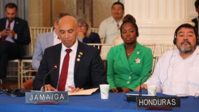 OAS Assistant Secretary General