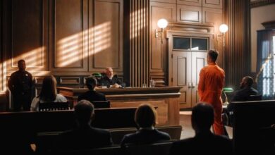 Federal Court System