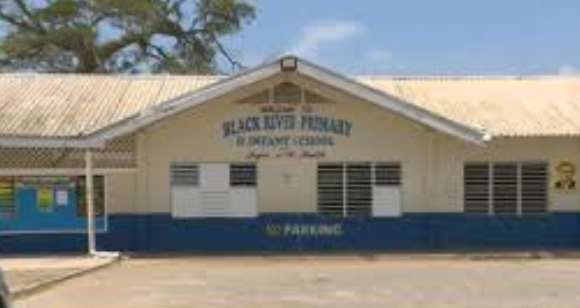 Albert and Carmen Reynolds Initiative: Black River Primary School