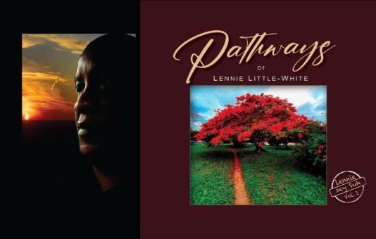 Jamaican Hospital Experience: A Reflection by Lennie Little-White