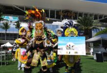 University of Miami Hurricanes Partnership with Bahamas