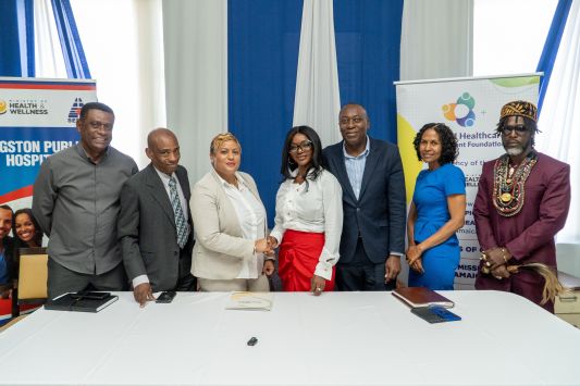 Healthcare Delivery Initiatives in Jamaica Led by Carol Picart