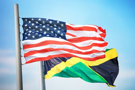 Global Jamaica Diaspora Council Elections