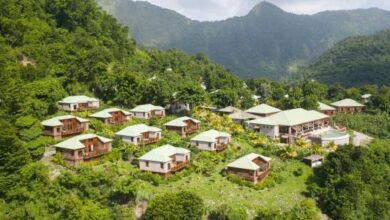 An aerial view of Jungle Bay in Dominica