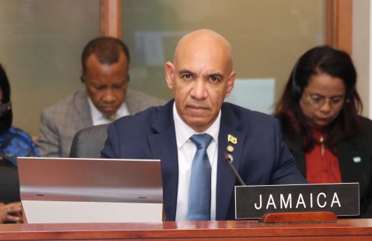 Organization of American States Supports Jamaica