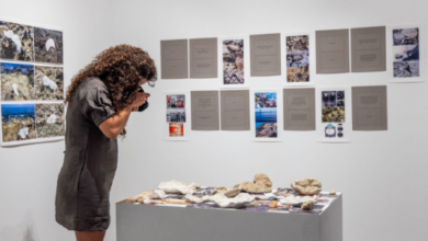 Pérez Art Museum Miami Caribbean Cultural Institute Fellow Celia Irina González