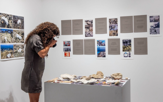 Pérez Art Museum Miami Expands Caribbean Cultural Institute