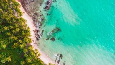 Sailing Holidays in the Caribbean - photo by freepix