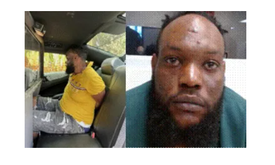 Immigration and Customs Enforcement (ICE) Arrests Gang Member Wanted for Murder in Jamaica