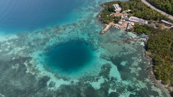 Healthy Coral Reef: Key to Jamaica’s Ecosystem